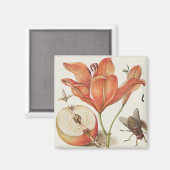 ヴィンテージ植物イラストレーション マグネット (正面/裏面)