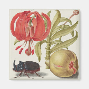 ヴィンテージ植物イラストレーション マグネット