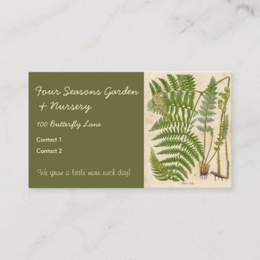 ヴィンテージ植物イラストレーション 名刺 (正面)