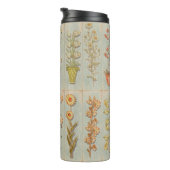 ヴィンテージ植物イラスト 素朴 タンブラー (回転右)