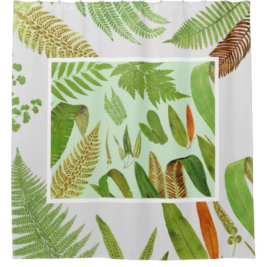 ヴィンテージ植物シダ シャワーカーテン (正面)