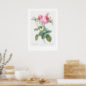 ヴィンテージ植物バライラストレーションポスター ポスター (キッチン)