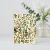 ヴィンテージ植物フルーア葉書 ポストカード (スタンド正面)