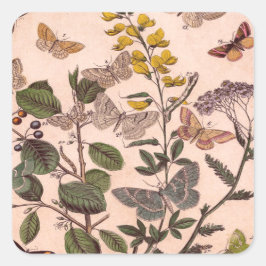 ヴィンテージ植物フローライラストレーション野草 スクエアシール