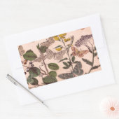 ヴィンテージ植物フローライラストレーション野草 スクエアシール (封筒)