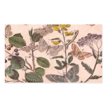 ヴィンテージ植物フローライラストレーション野草