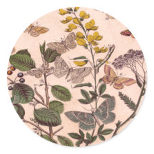 ヴィンテージ植物フローライラストレーション野草