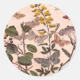ヴィンテージ植物フローライラストレーション野草 ラウンドシール