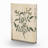 ヴィンテージ植物フローラジャスミン フォトブロック (右)