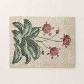 ヴィンテージ植物フローラデイジー ジグソーパズル (横)