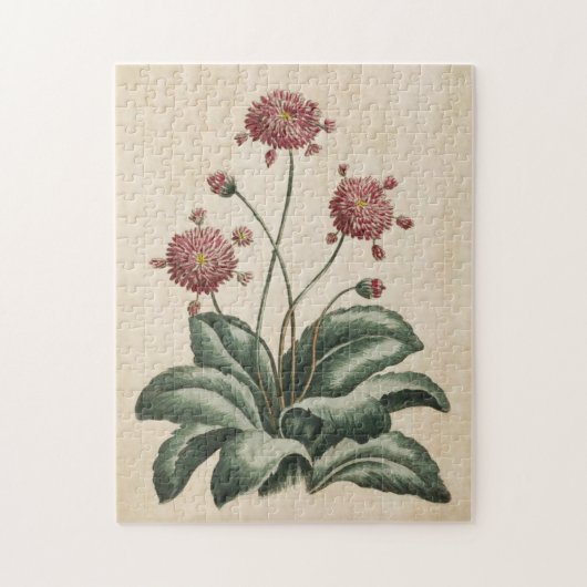 ヴィンテージ植物フローラデイジー ジグソーパズル (縦)