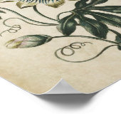 ヴィンテージ植物フローラパッションフラワープリント ポスター (角)