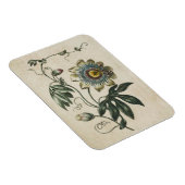 ヴィンテージ植物フローラパッションフラワーマグネット マグネット (右側)