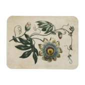 ヴィンテージ植物フローラパッションフラワーマグネット マグネット (横)