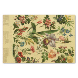 ヴィンテージ植物フローラ 薄葉紙