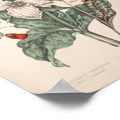 ヴィンテージ植物プリント ポスター (角)