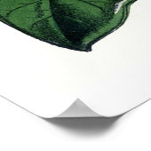 ヴィンテージ植物マグノリア ポスター (角)