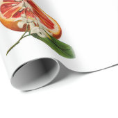 ヴィンテージ植物包み紙 ラッピングペーパー (ロールコーナー)