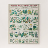 ヴィンテージ植物図：植物の経済的利用 ジグソーパズル (縦)