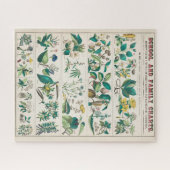 ヴィンテージ植物図:植物の経済的利用 ジグソーパズル (横)