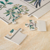 ヴィンテージ植物図:植物の経済的利用 ジグソーパズル (側面)