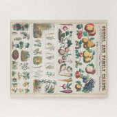 ヴィンテージ植物図:植物の経済的利用 ジグソーパズル (横)