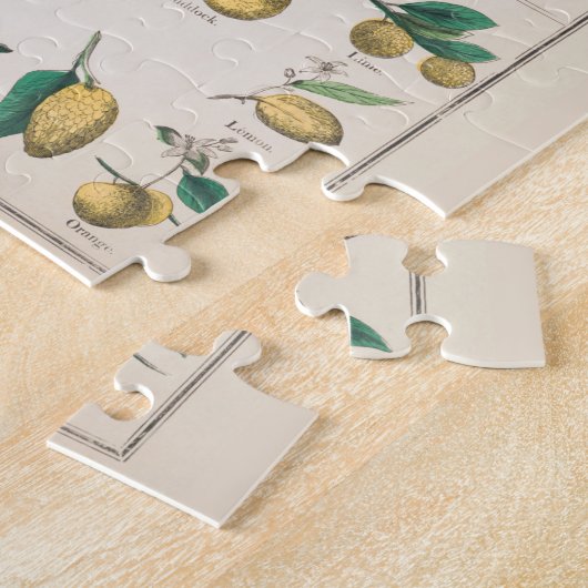 ヴィンテージ植物図：植物の経済的利用 ジグソーパズル (側面)