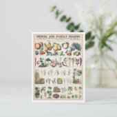 ヴィンテージ植物図:植物の経済的利用 ポストカード (スタンド正面)