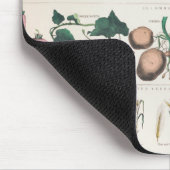 ヴィンテージ植物図:植物の経済的利用 マウスパッド (コーナー)