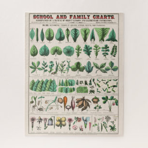 ヴィンテージ植物図：葉と花 ジグソーパズル
