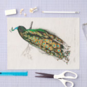 ヴィンテージ植物孔雀ピーコックピーフクロウ 薄葉紙 (クラフト)