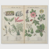 ヴィンテージ植物学の複製 ラッピングペーパー (フラット)