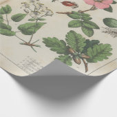 ヴィンテージ植物学の複製 ラッピングペーパー (角)