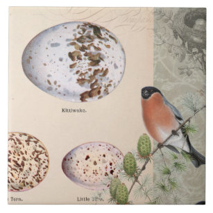 ヴィンテージ植物学鳥砂漠サボテン卵スクリプト タイル