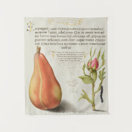 ヴィンテージ植物学 タペストリー