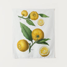 ヴィンテージ植物学