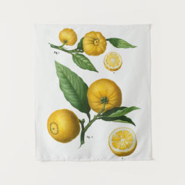 ヴィンテージ植物学 タペストリー