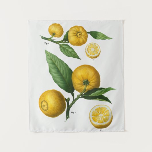 ヴィンテージ植物学 タペストリー (正面)