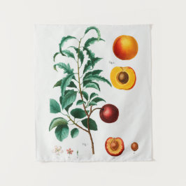 ヴィンテージ植物学 タペストリー