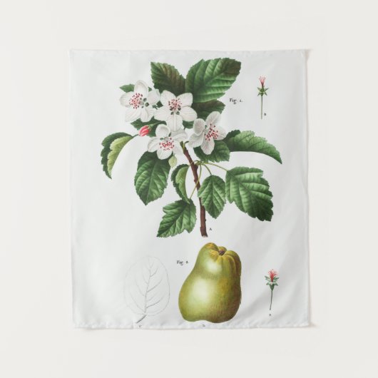 ヴィンテージ植物学 タペストリー (正面)