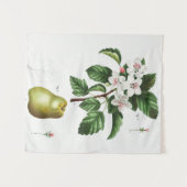 ヴィンテージ植物学 タペストリー (正面(横))