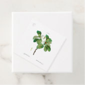 ヴィンテージ植物学「マグノリア」メッセージカード フェイバータグ (インサイチュ)