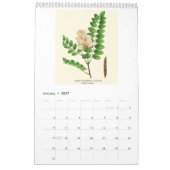 ヴィンテージ植物学Redoute開花木2026 カレンダー (1月 2027)