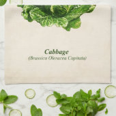 ヴィンテージ植物性イラストレーションキャベツ キッチンタオル (折り畳み)