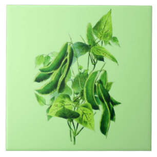 ヴィンテージ植物性イラストレーションビーンつる植物 タイル