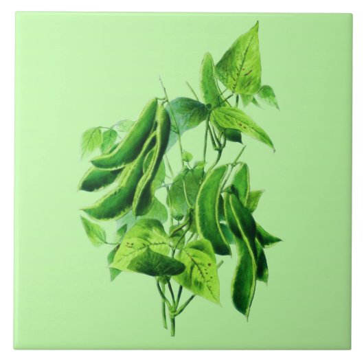 ヴィンテージ植物性イラストレーションビーンつる植物 タイル (正面)