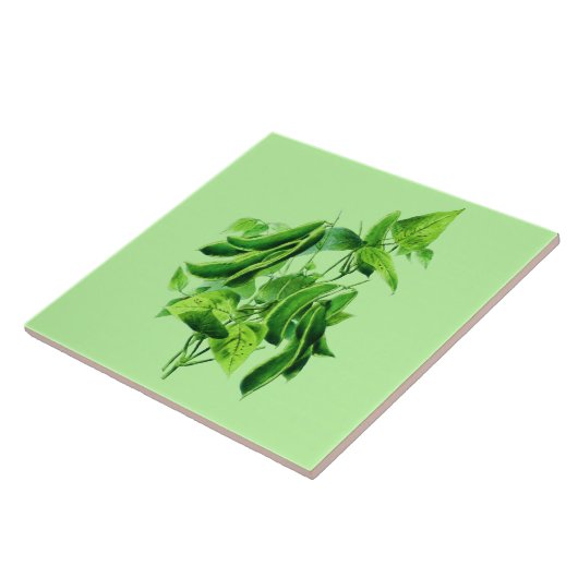 ヴィンテージ植物性イラストレーションビーンつる植物 タイル (側面)