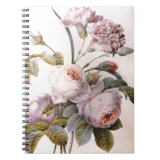 ヴィンテージ植物性イラストレーション、ピンクローズ ノートブック (正面)