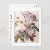 ヴィンテージ植物性イラストレーション、ピンクローズ ポストカード (正面/裏面)