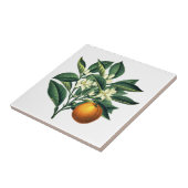 ヴィンテージ植物性オレンジフルーツの花 タイル (側面)